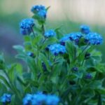 问鼎app下载的使用反馈与改进建议收集 6nwws1mnrn