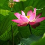 星耀国际娱乐的品牌故事:从创立到如今的历程 a57b88