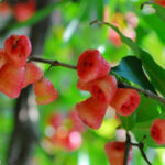 问鼎娱乐H5:游戏玩家的新选择与趋势 gi57owbm1