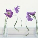 问鼎app下载的安全下载渠道与注意事项 ieayg1qms