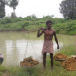 问鼎娱乐:从小型公司到行业领军者的成长历程 ogx5i