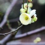 如何通过问鼎娱乐H5结识志同道合的朋友 vvn208r